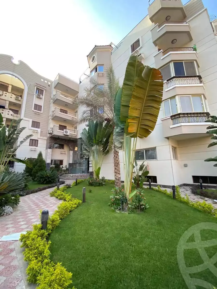 https://aqarmap.com.eg/en/listing/5831033-for-rent-cairo-el-maadi-zahraa-el-maadi-tenth-neighborhood