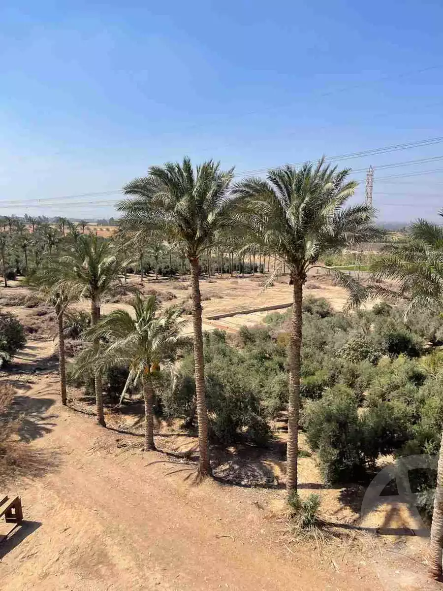 https://aqarmap.com.eg/ar/listing/5832219-for-sale-cairo-el-mansuriyyah-el-saliba