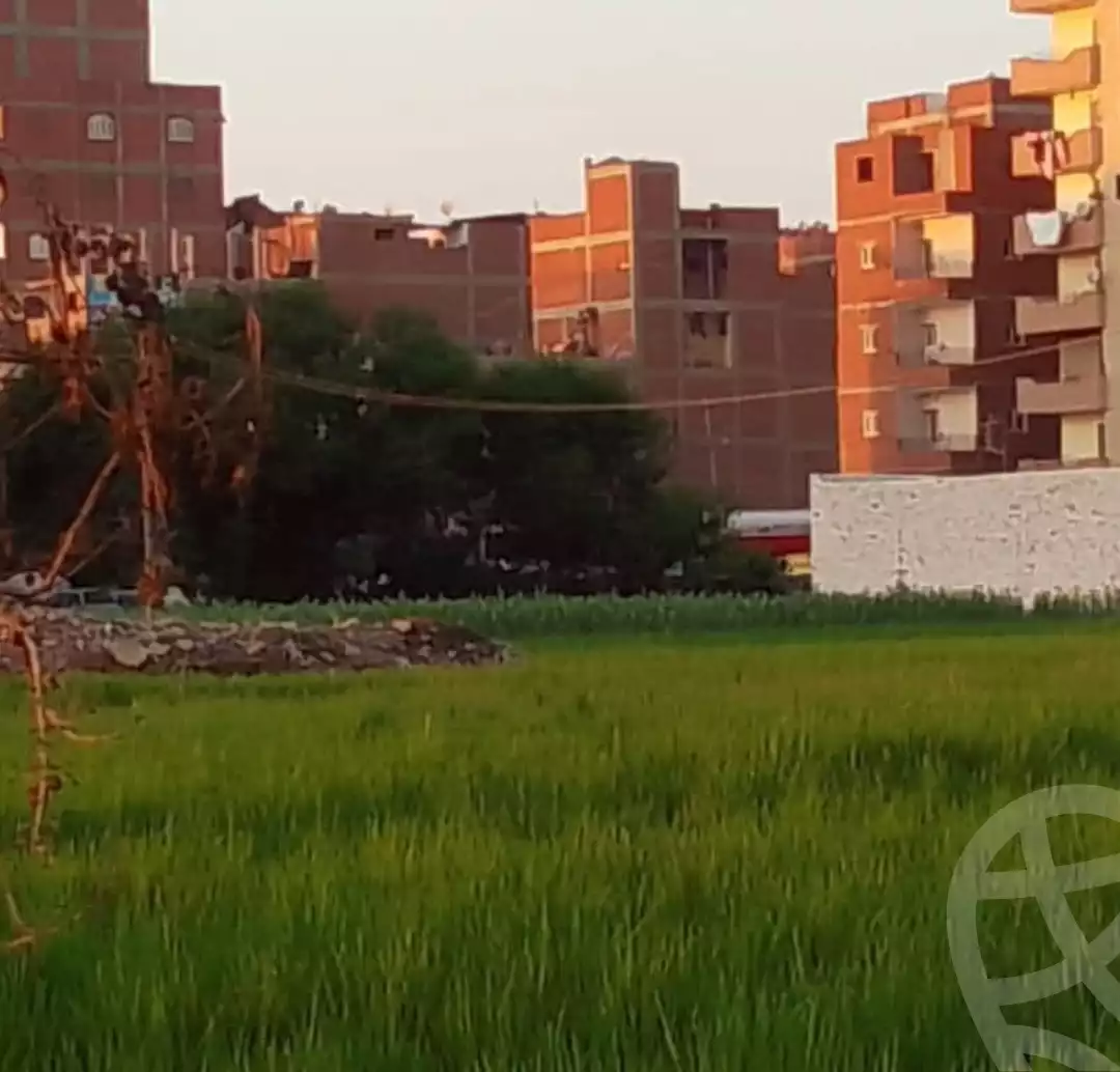 https://aqarmap.com.eg/ar/listing/5837801-for-sale-gharbia-tanta