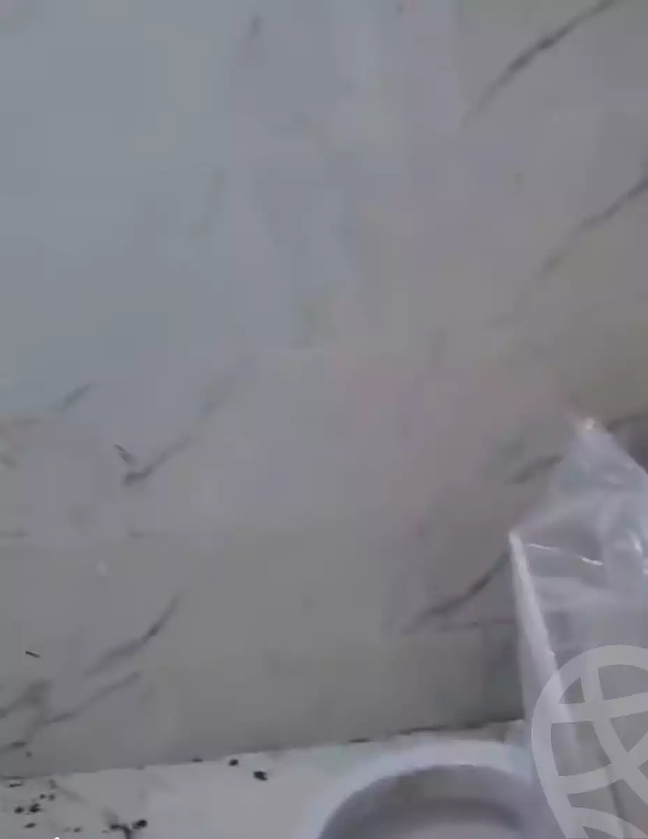 https://aqarmap.com.eg/en/listing/5838002-for-sale-sharqia-faqous