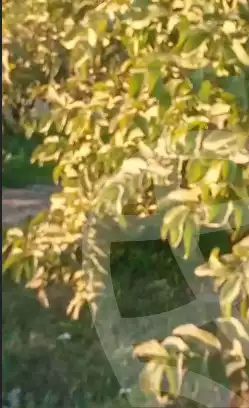 https://aqarmap.com.eg/en/listing/5838059-for-sale-beheira-abu-hummus