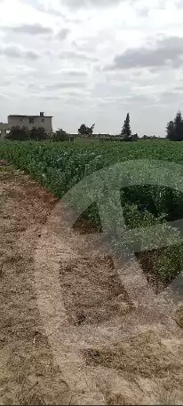 https://aqarmap.com.eg/en/listing/5838068-for-sale-beheira-wadi-el-natrun