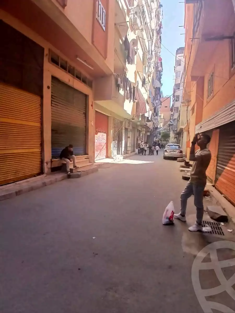 https://aqarmap.com.eg/en/listing/5839806-for-sale-alexandria-l-jmy-el-hanouvel