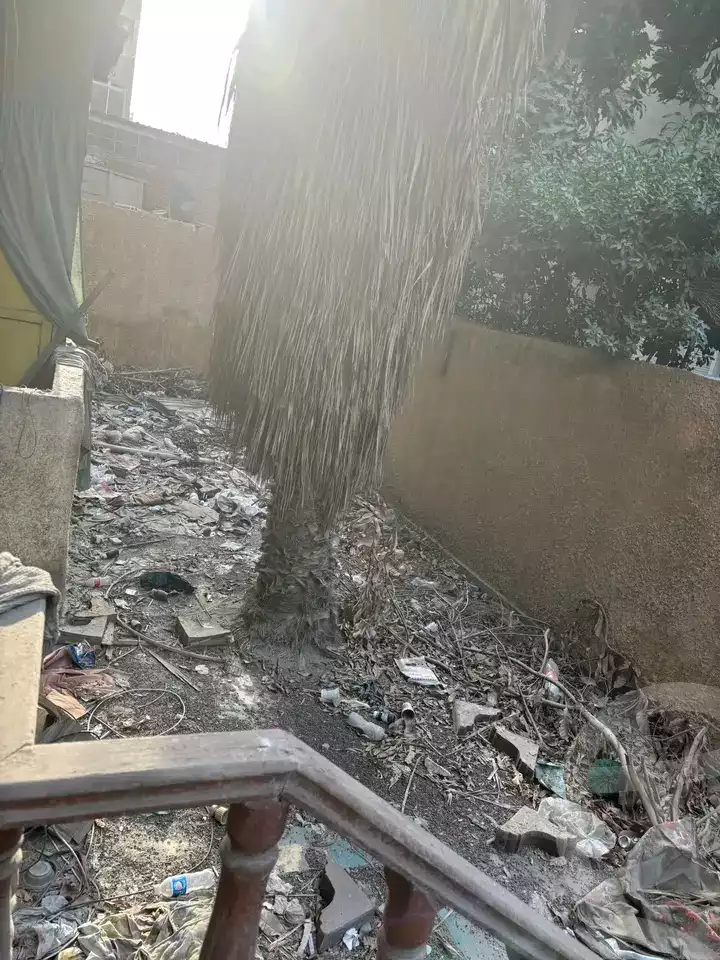 https://aqarmap.com.eg/en/listing/5840622-for-rent-cairo-heliopolis