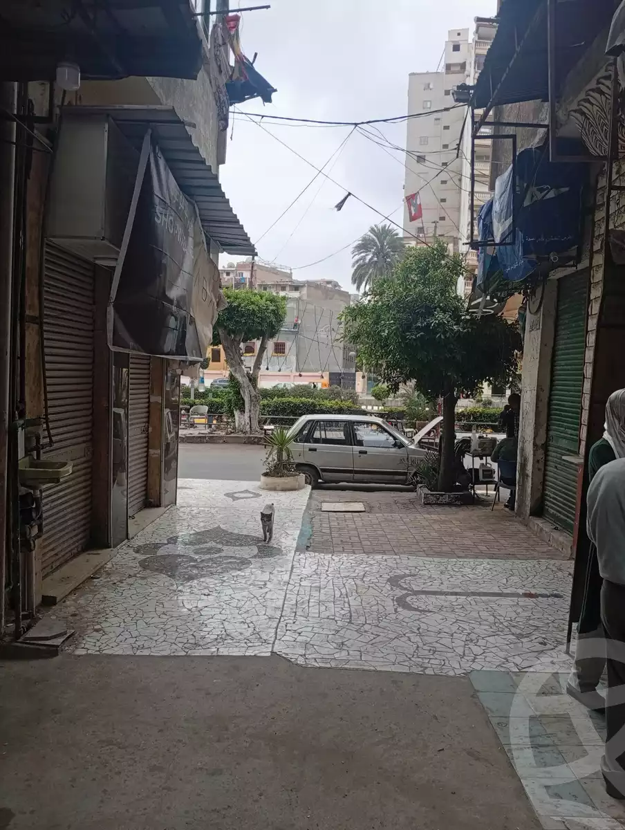 https://aqarmap.com.eg/en/listing/5842483-for-sale-alexandria-moharram-bey-tryq-qn-lswys