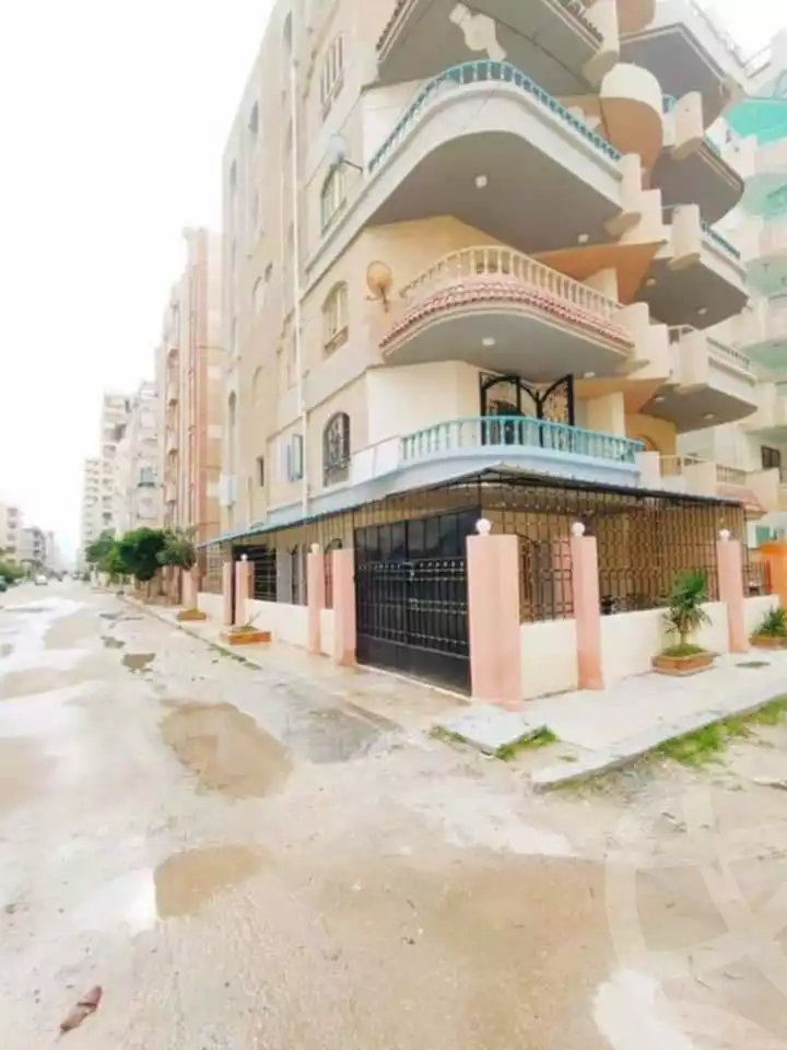 https://aqarmap.com.eg/en/listing/5843031-for-sale-alexandria-l-jmy-shataa-el-nakheel