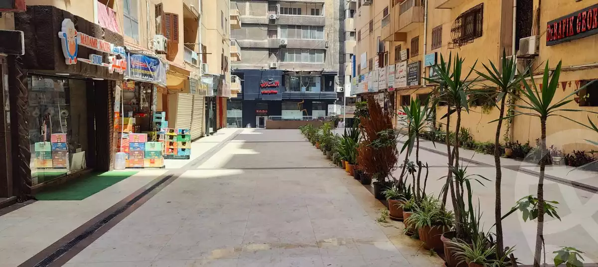 https://aqarmap.com.eg/en/listing/5843101-for-rent-alexandria-ganaklis-compounds-in-ganaklis