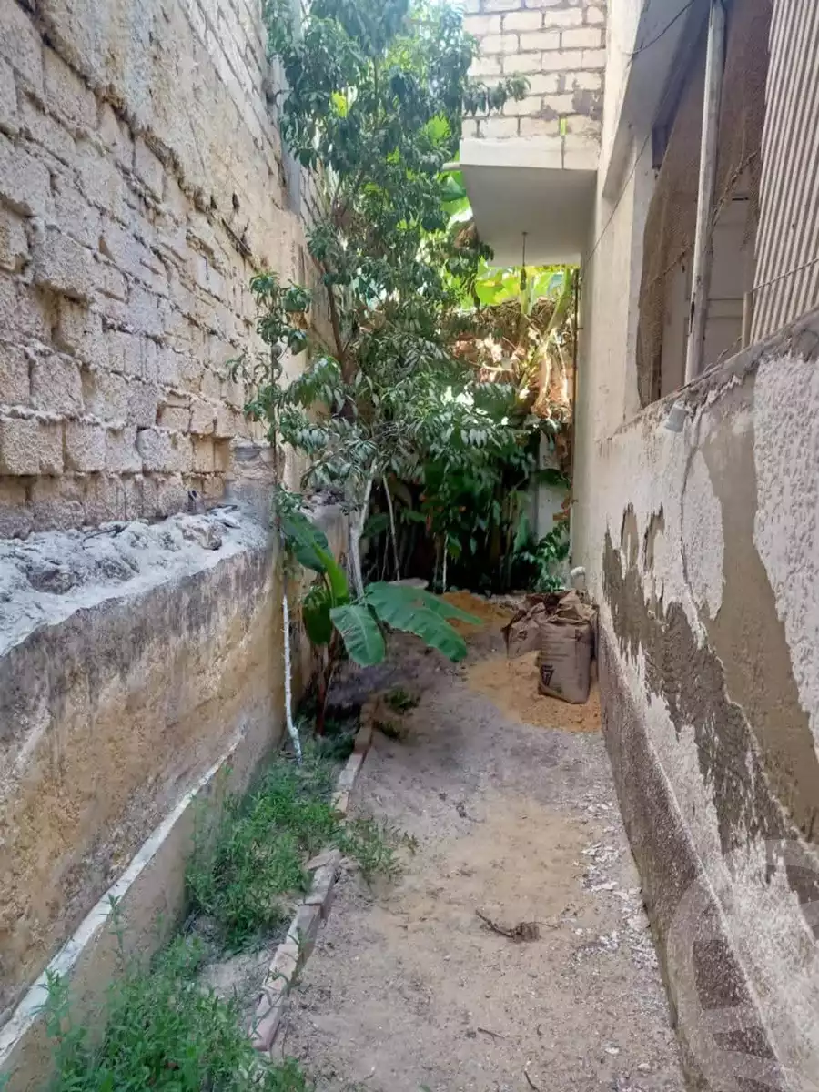 https://aqarmap.com.eg/en/listing/5848139-for-sale-alexandria-l-jmy-lbytsh-al-aeda-al-kadema-st
