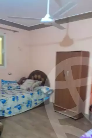 https://aqarmap.com.eg/en/listing/5849199-for-rent-cairo-nasr-city-zahraa-nasr-city
