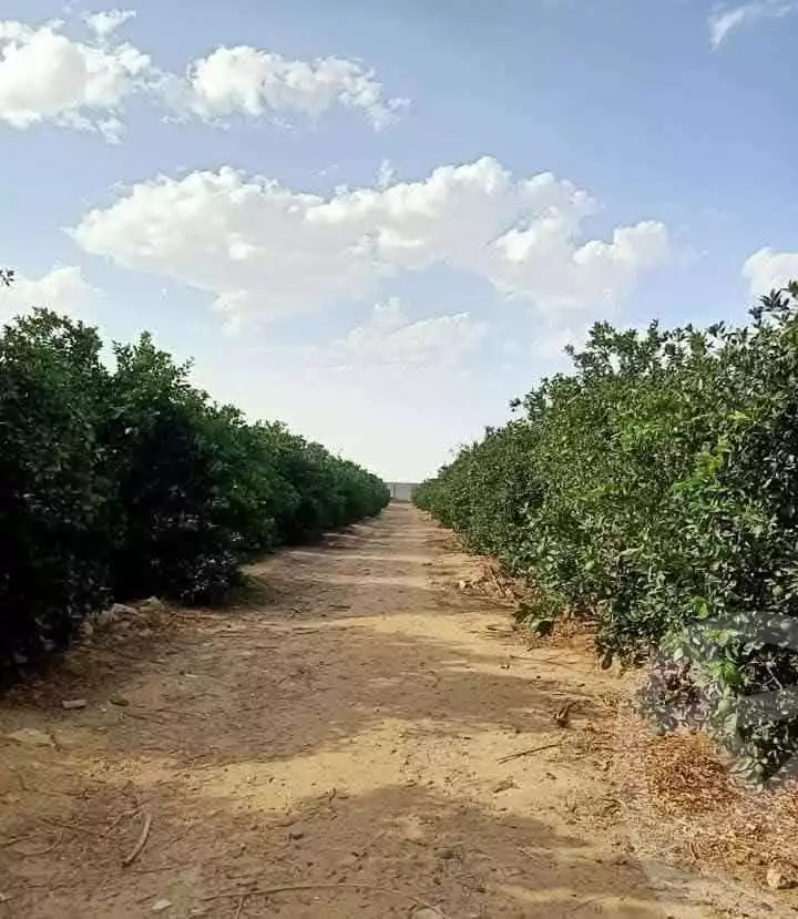 https://aqarmap.com.eg/en/listing/5858151-for-sale-beheira-wadi-el-natrun