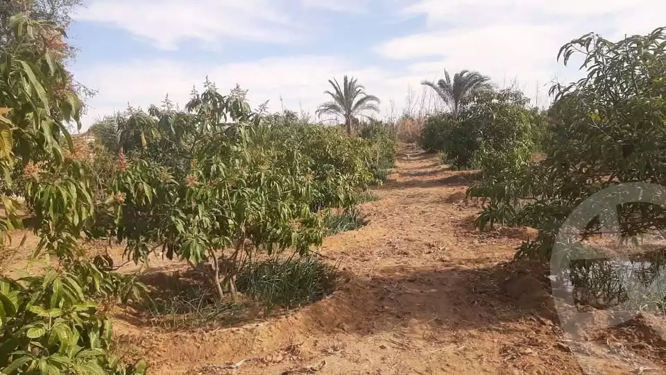 https://aqarmap.com.eg/en/listing/5858160-for-sale-ismailia-ismailia-city