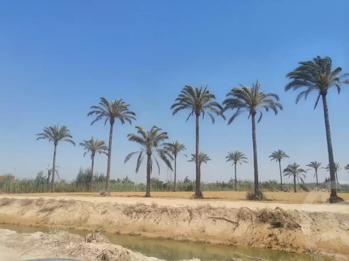 https://aqarmap.com.eg/en/listing/5858281-for-sale-alexandria-cairo-alexandria-desert-road