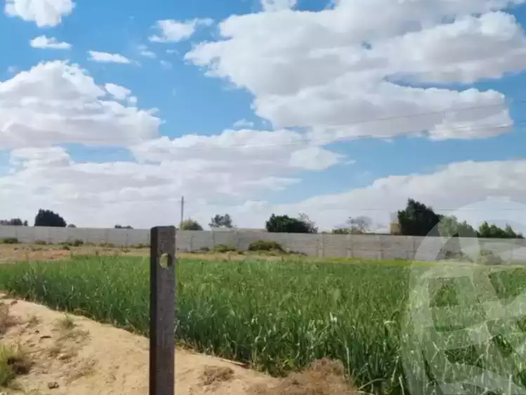 https://aqarmap.com.eg/en/listing/5855933-for-sale-beni-suef-el-fashn-el-fashn-city