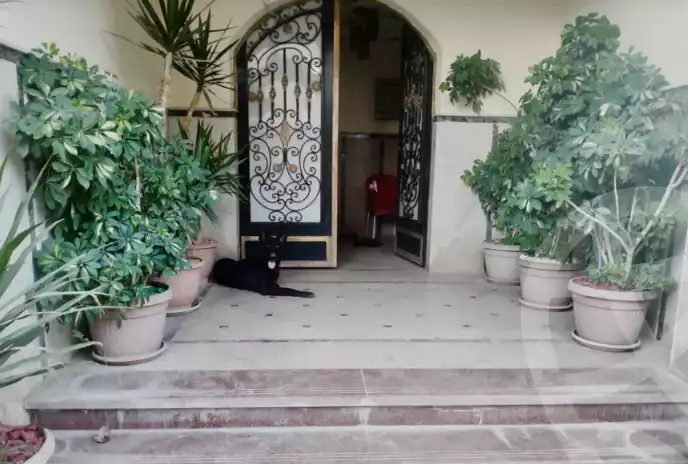 https://aqarmap.com.eg/en/listing/5859522-for-sale-cairo-al-oubour