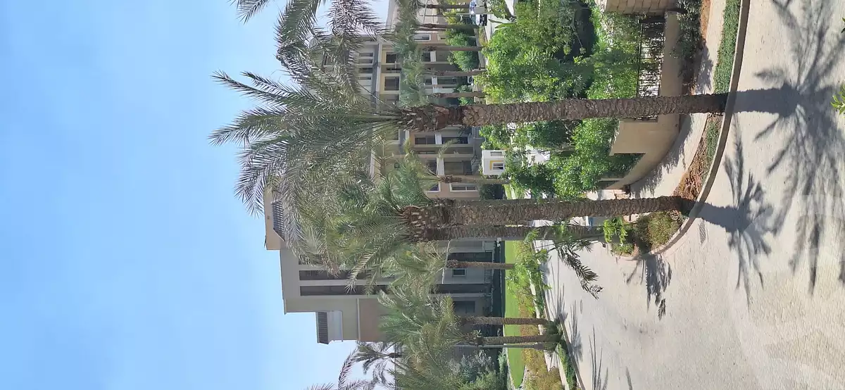 https://aqarmap.com.eg/en/listing/5860335-for-sale-cairo-new-cairo-compounds-sarai-rai