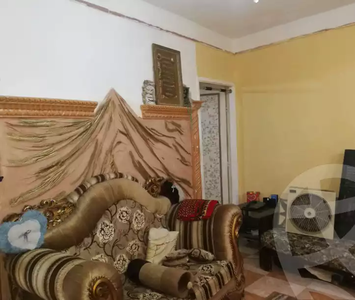 https://aqarmap.com.eg/ar/listing/5862838-for-sale-alexandria-l-jmy-lbytsh-ain-shams-st