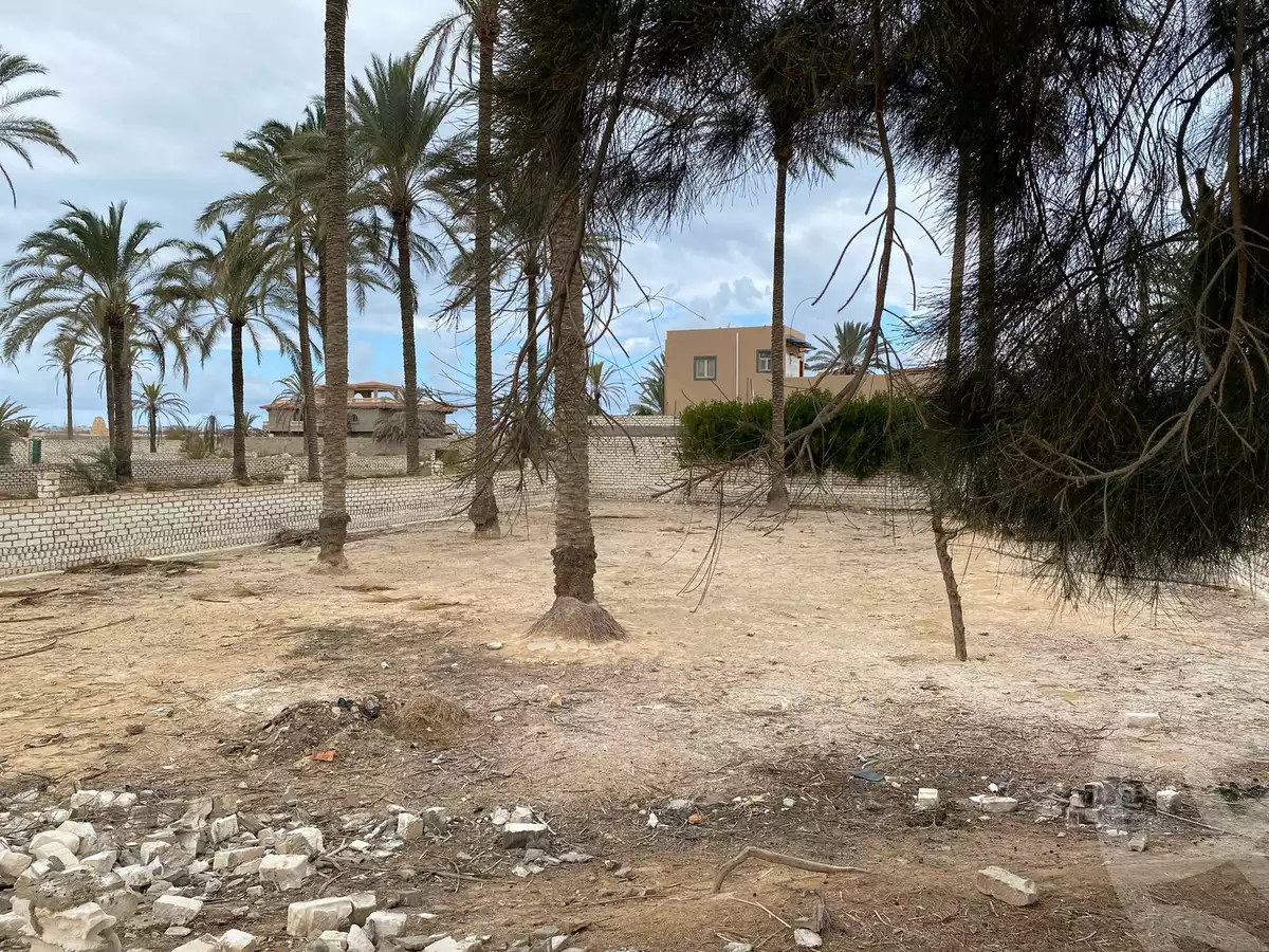 https://aqarmap.com.eg/en/listing/5867819-for-sale-alexandria-king-maryot-taqseem-icl