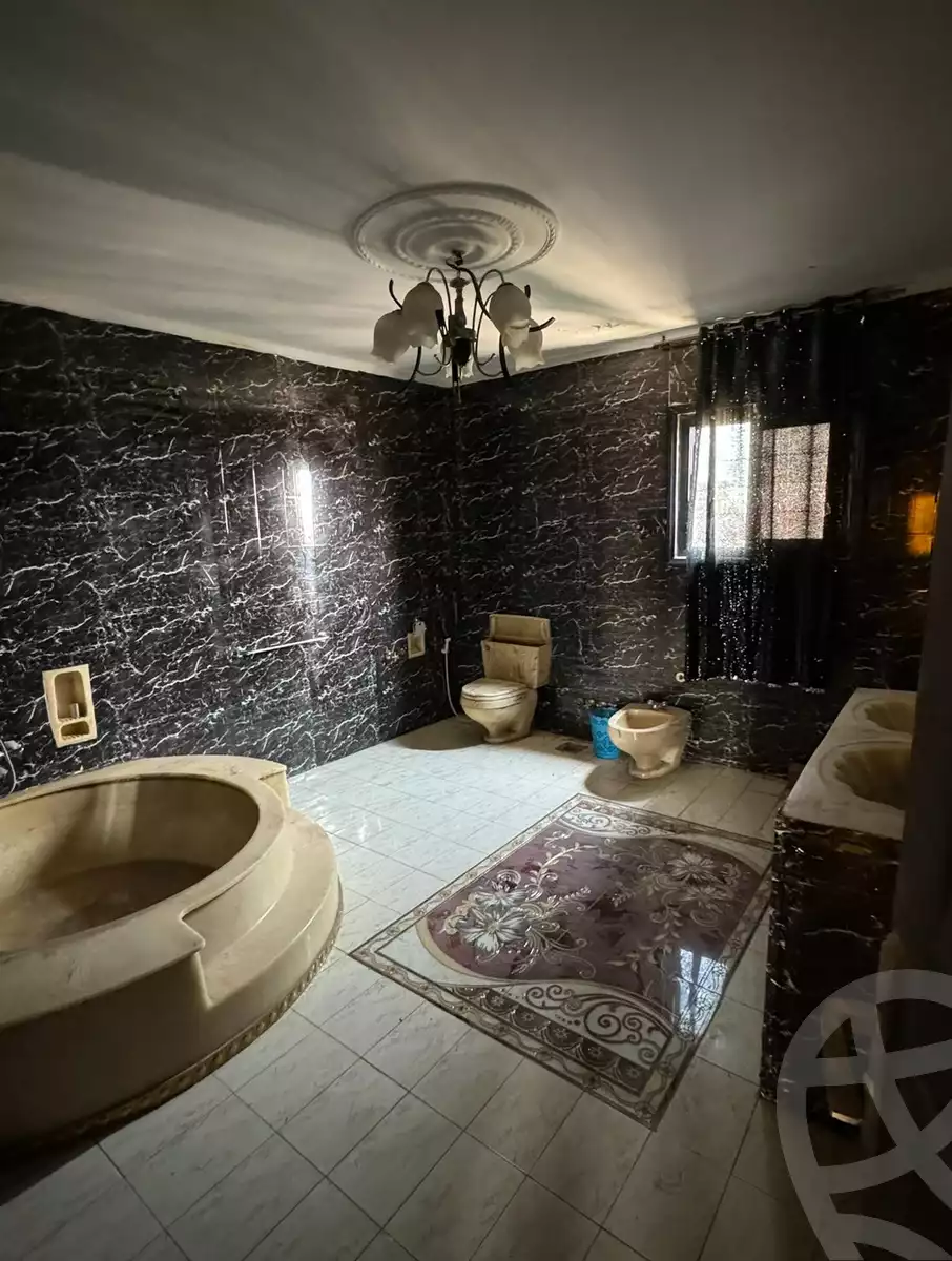 https://aqarmap.com.eg/en/listing/5868123-for-rent-cairo-dokki-mohey-el-din-abo-el-ezz