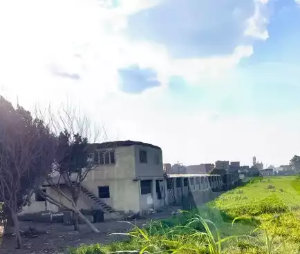 https://aqarmap.com.eg/en/listing/5869775-for-sale-dakahlia-mansoura