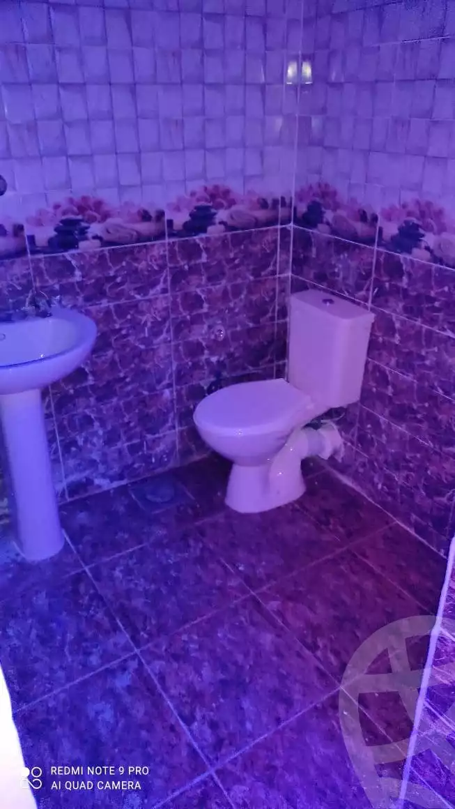 https://aqarmap.com.eg/en/listing/5871444-for-rent-alexandria-l-jmy-lbytsh-el-neyaba-st