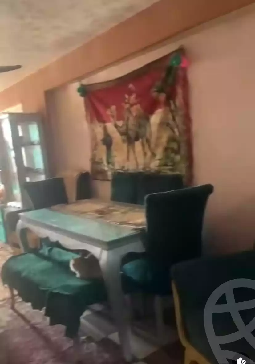 https://aqarmap.com.eg/en/listing/5872047-for-rent-alexandria-l-jmy-el-hanouvel