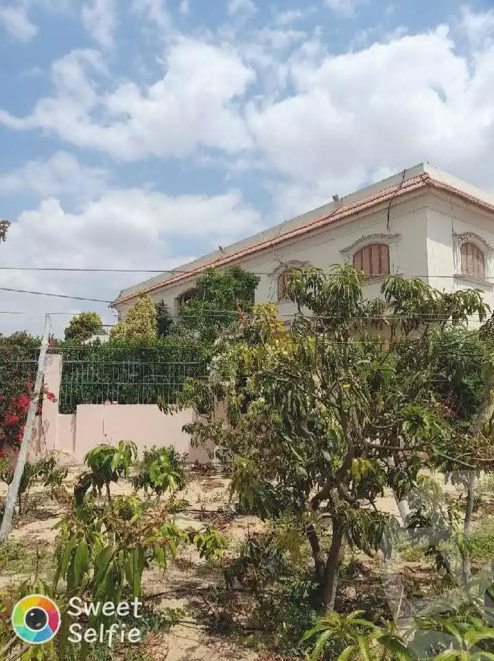 https://aqarmap.com.eg/ar/listing/5874910-for-sale-ismailia-ismailia-city