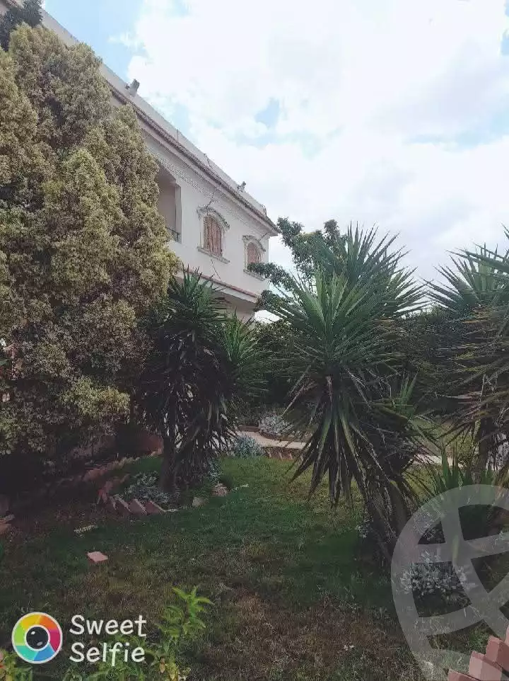https://aqarmap.com.eg/ar/listing/5874910-for-sale-ismailia-ismailia-city