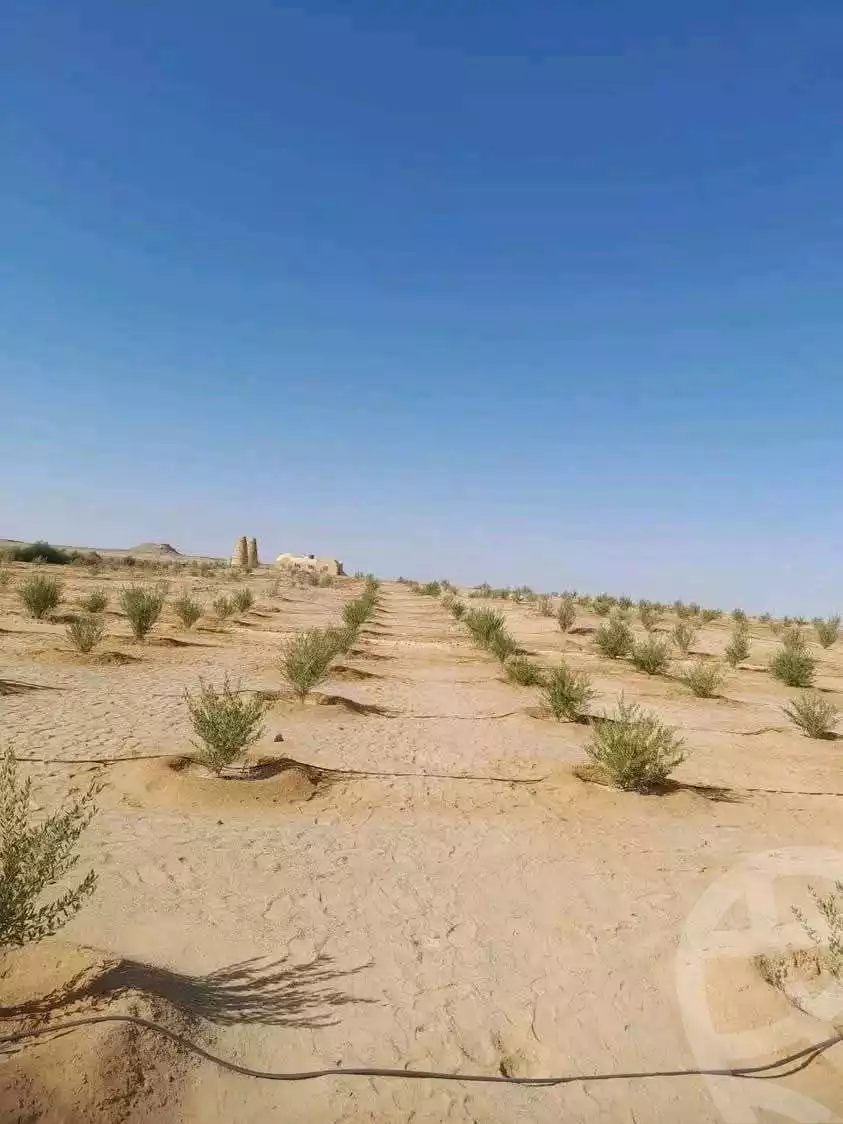 https://aqarmap.com.eg/ar/listing/5879410-for-sale-marsa-matruh-siwa-oasis-wahet-siwaa-city