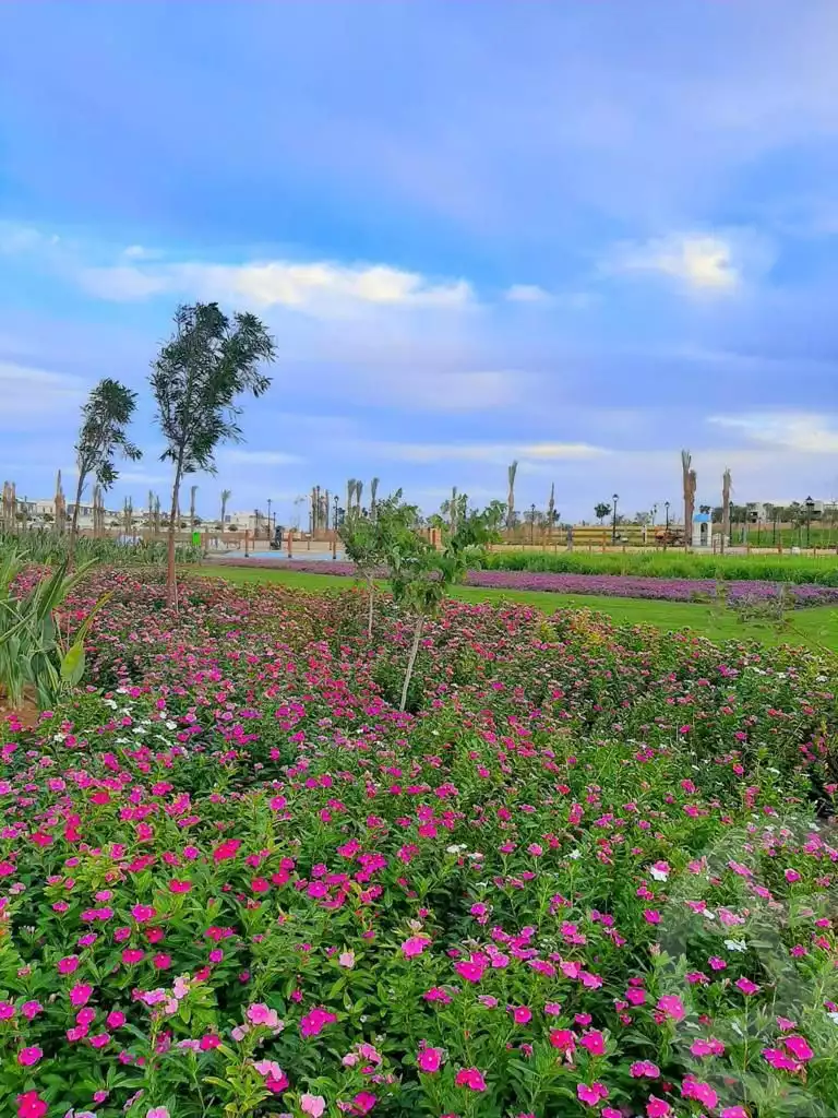 https://aqarmap.com.eg/en/listing/5879683-for-sale-cairo-new-cairo-compounds-hyde-park-greens-hyde-park-compound