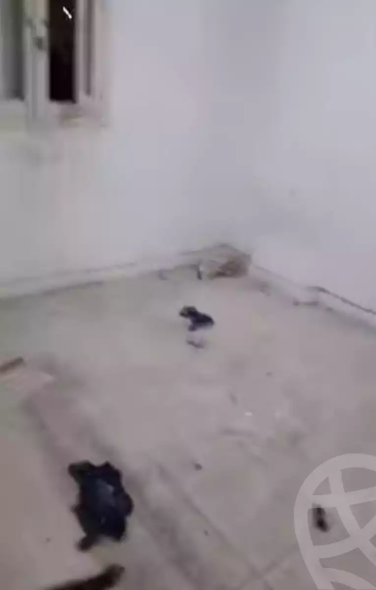 https://aqarmap.com.eg/en/listing/5882582-for-rent-alexandria-l-jmy-el-hanouvel-al-asdakaa-st