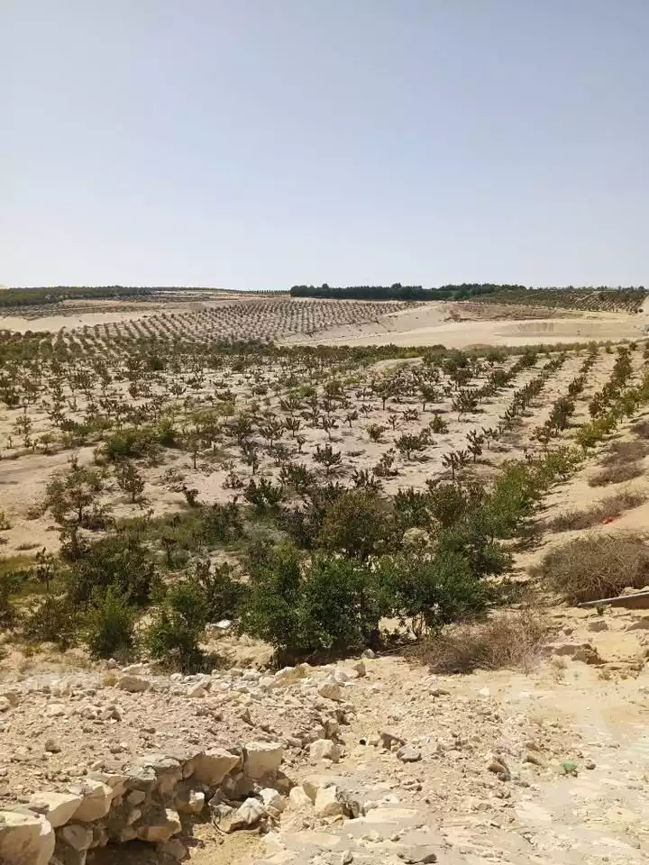 https://aqarmap.com.eg/en/listing/5886721-for-sale-ismailia-new-ismailia