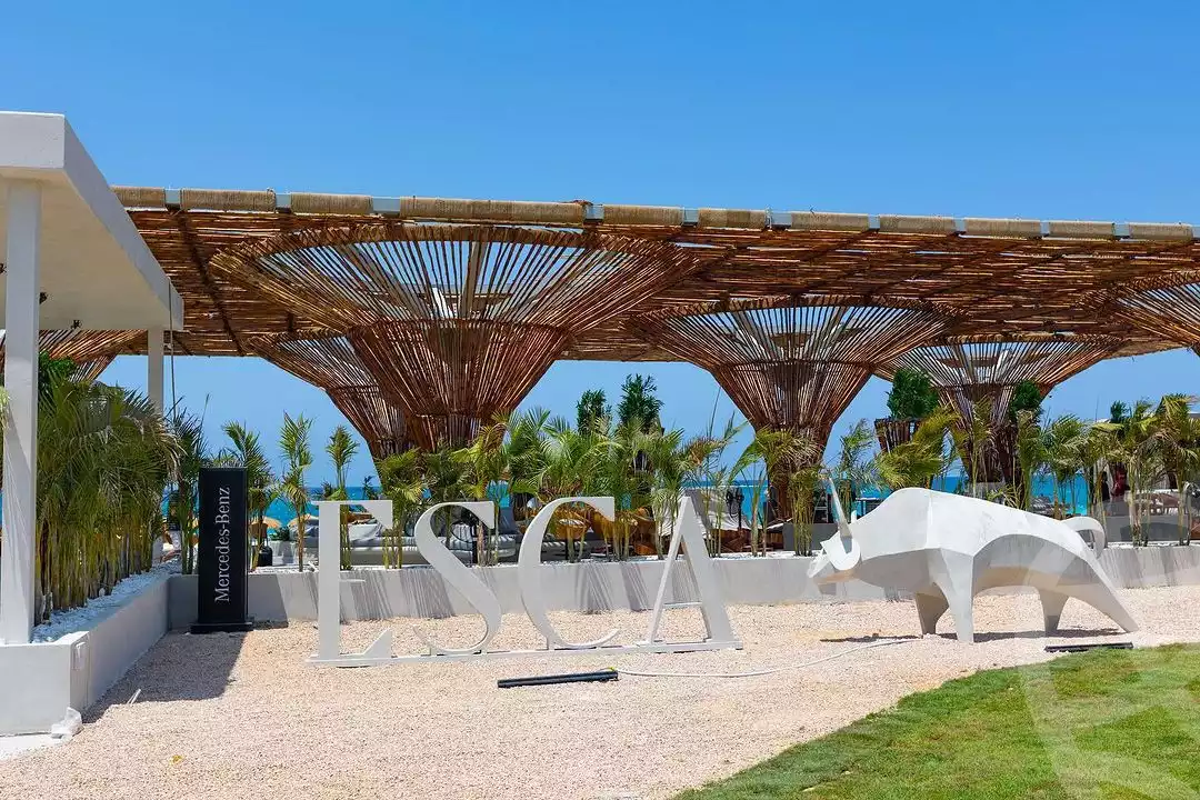 https://aqarmap.com.eg/en/listing/5888135-for-sale-north-coast-resorts-lyv-resort-gates