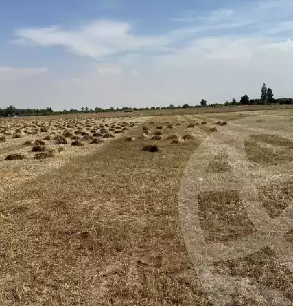 https://aqarmap.com.eg/en/listing/5890604-for-sale-ismailia-el-qantara