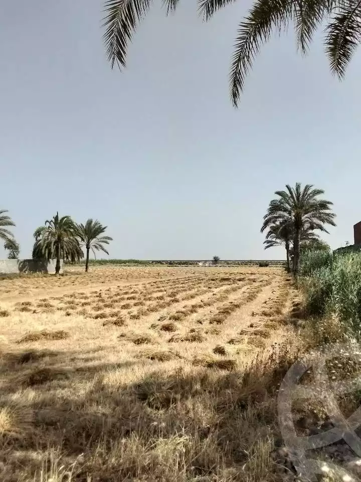https://aqarmap.com.eg/ar/listing/5890819-for-sale-alexandria-el-amreya