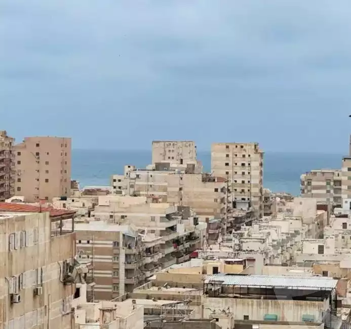 https://aqarmap.com.eg/en/listing/5891487-for-sale-alexandria-l-jmy-shataa-el-nakheel-street-47