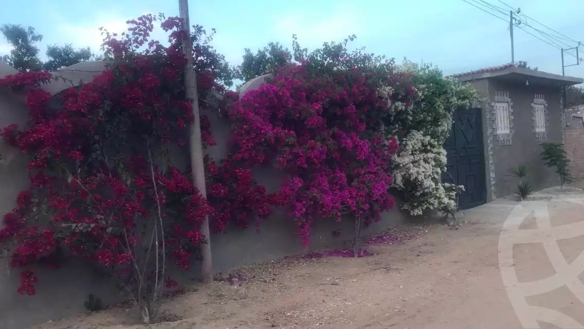 https://aqarmap.com.eg/en/listing/5895300-for-sale-ismailia-ismailia-city