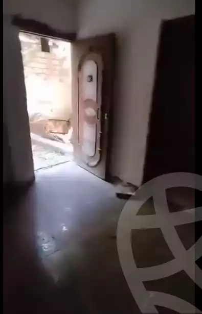 https://aqarmap.com.eg/ar/listing/5895299-for-sale-alexandria-l-jmy-el-hanouvel-el-kholafaa-el-rashdeen-st