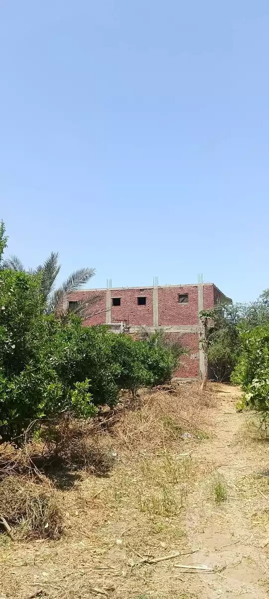 https://aqarmap.com.eg/en/listing/5896441-for-sale-sharqia-abu-hamad