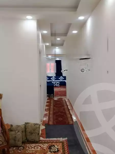 https://aqarmap.com.eg/en/listing/5896793-for-sale-alexandria-l-jmy-lbytsh-al-samalehy-2-st