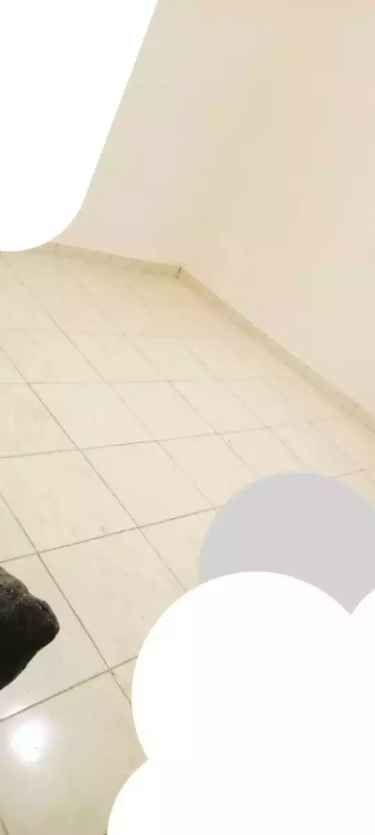 https://aqarmap.com.eg/en/listing/5902173-for-sale-alexandria-moharram-bey-tryq-qn-lswys