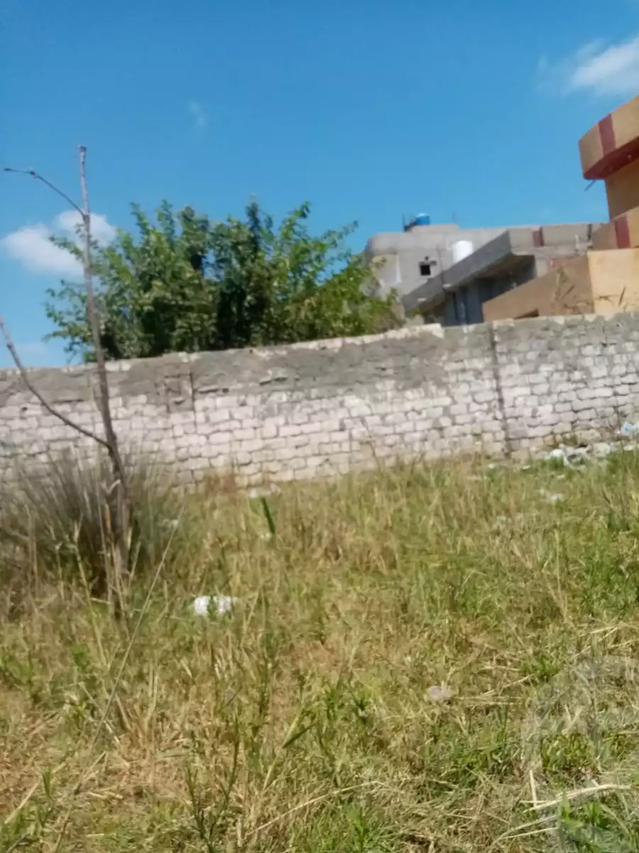 https://aqarmap.com.eg/en/listing/5903432-for-sale-kafr-el-sheikh-burullus-baltim-el-borg-way