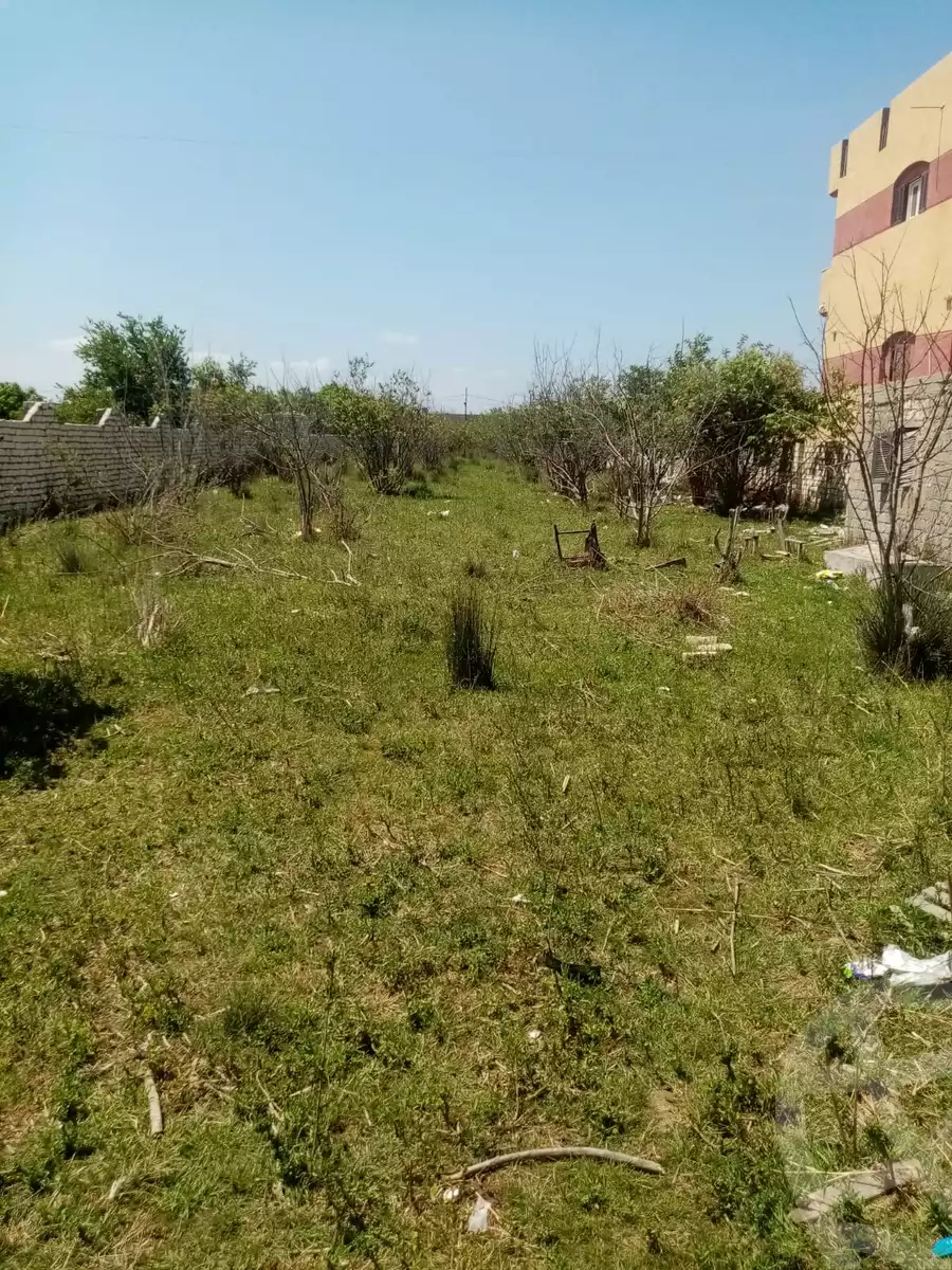 https://aqarmap.com.eg/en/listing/5903432-for-sale-kafr-el-sheikh-burullus-baltim-el-borg-way