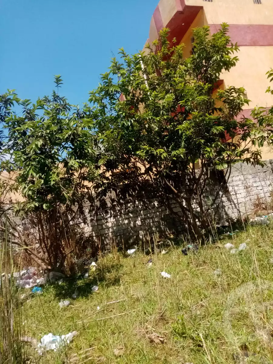 https://aqarmap.com.eg/en/listing/5903432-for-sale-kafr-el-sheikh-burullus-baltim-el-borg-way
