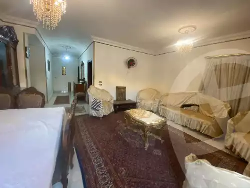 https://aqarmap.com.eg/en/listing/5904806-for-sale-cairo-new-cairo-south-investors-mohammed-nagib-axis-st