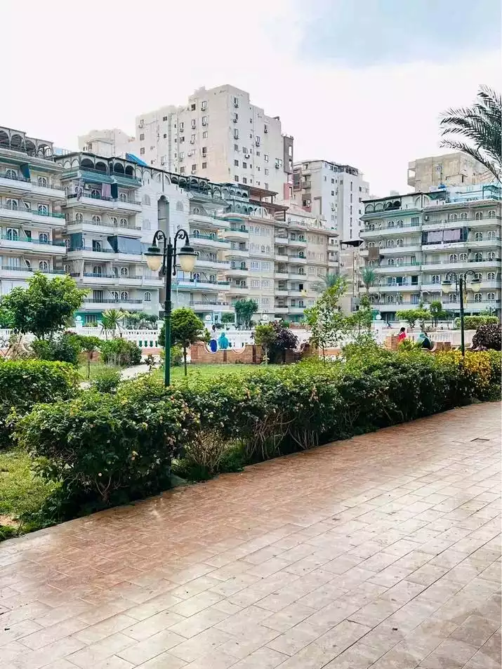 https://aqarmap.com.eg/en/listing/5905483-for-sale-alexandria-l-jmy-shataa-el-nakheel