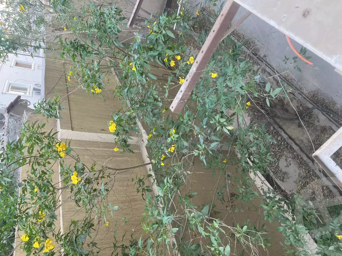 https://aqarmap.com.eg/en/listing/5906102-for-rent-cairo-new-cairo-el-narges-el-narges-3-el-hassan-ibn-el-haitham-st