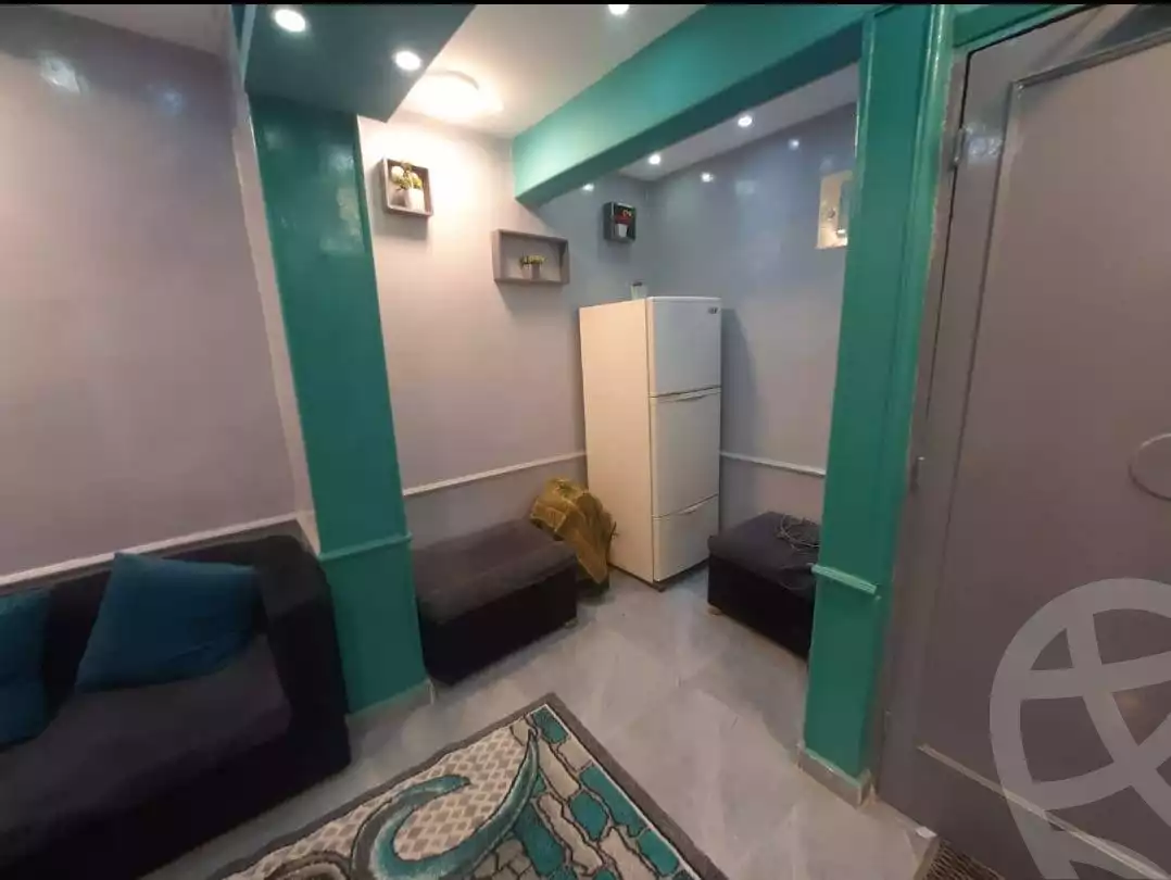 https://aqarmap.com.eg/en/listing/5916676-for-rent-cairo-manial-manial-st
