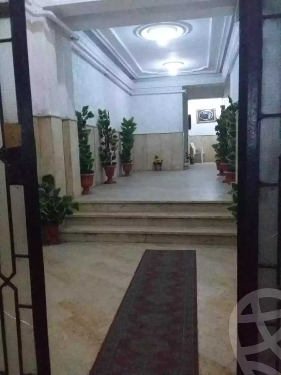 https://aqarmap.com.eg/en/listing/2035894-for-rent-alexandria-miami-shr-jml-bd-lnsr