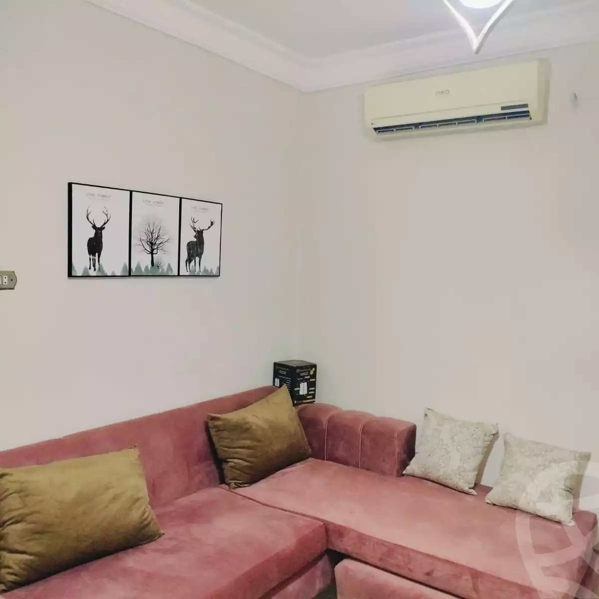 https://aqarmap.com.eg/en/listing/5919050-for-rent-cairo-el-agouza-shaheen-st