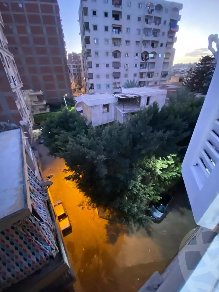https://aqarmap.com.eg/ar/listing/5923005-for-rent-alexandria-l-jmy-lbytsh-el-saleheen-mosque-st